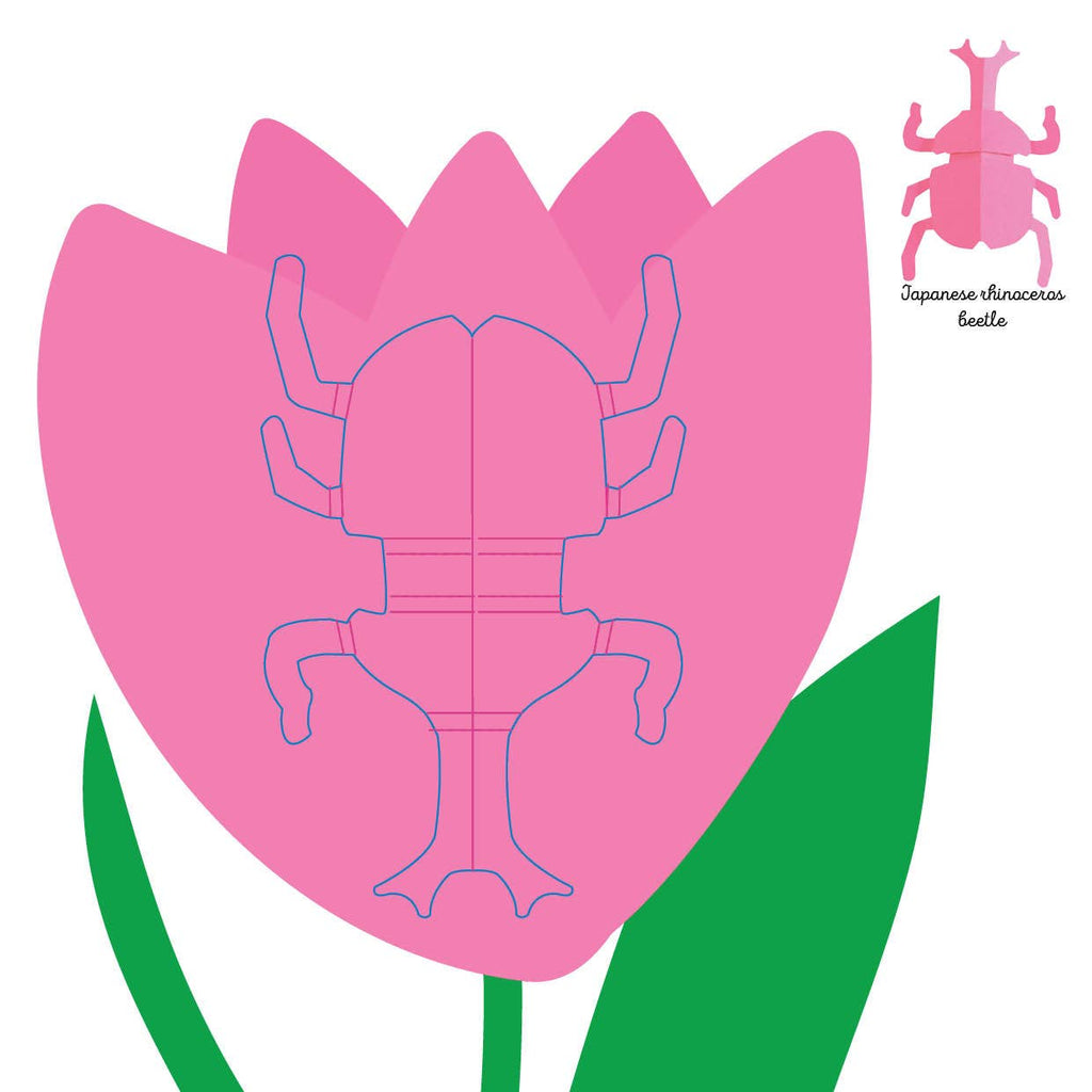 Insects: Fold & Play