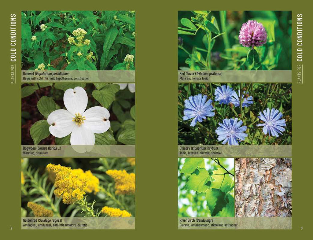 Bushcraft First Aid by Dave Canterbury