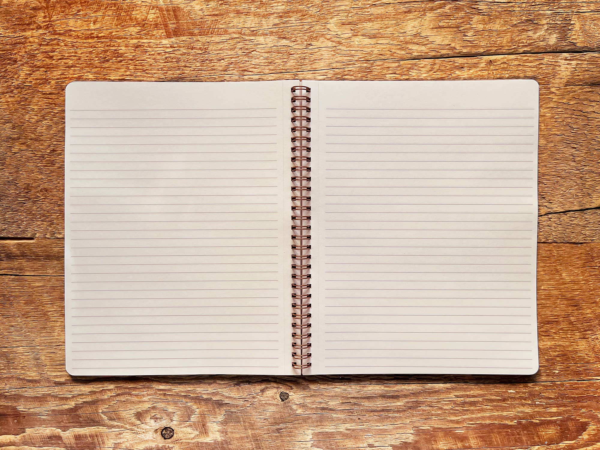 Fishing Flies Notebook