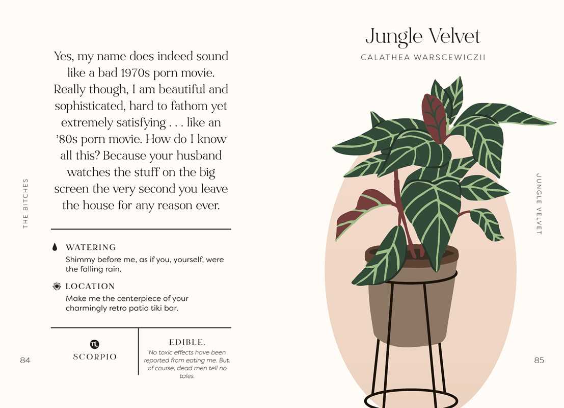 Houseplants and Their F*cked-Up Thoughts by Carlyle Christoff