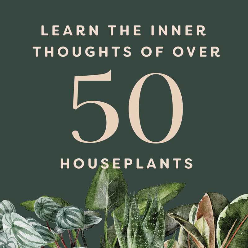 Houseplants and Their F*cked-Up Thoughts by Carlyle Christoff