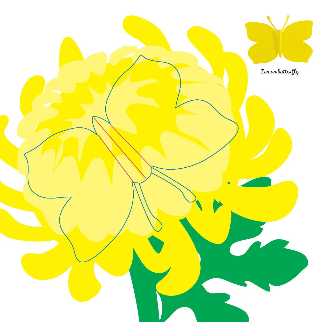 Insects: Fold & Play