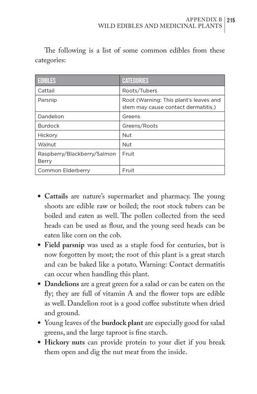 Bushcraft 101 by Dave Canterbury