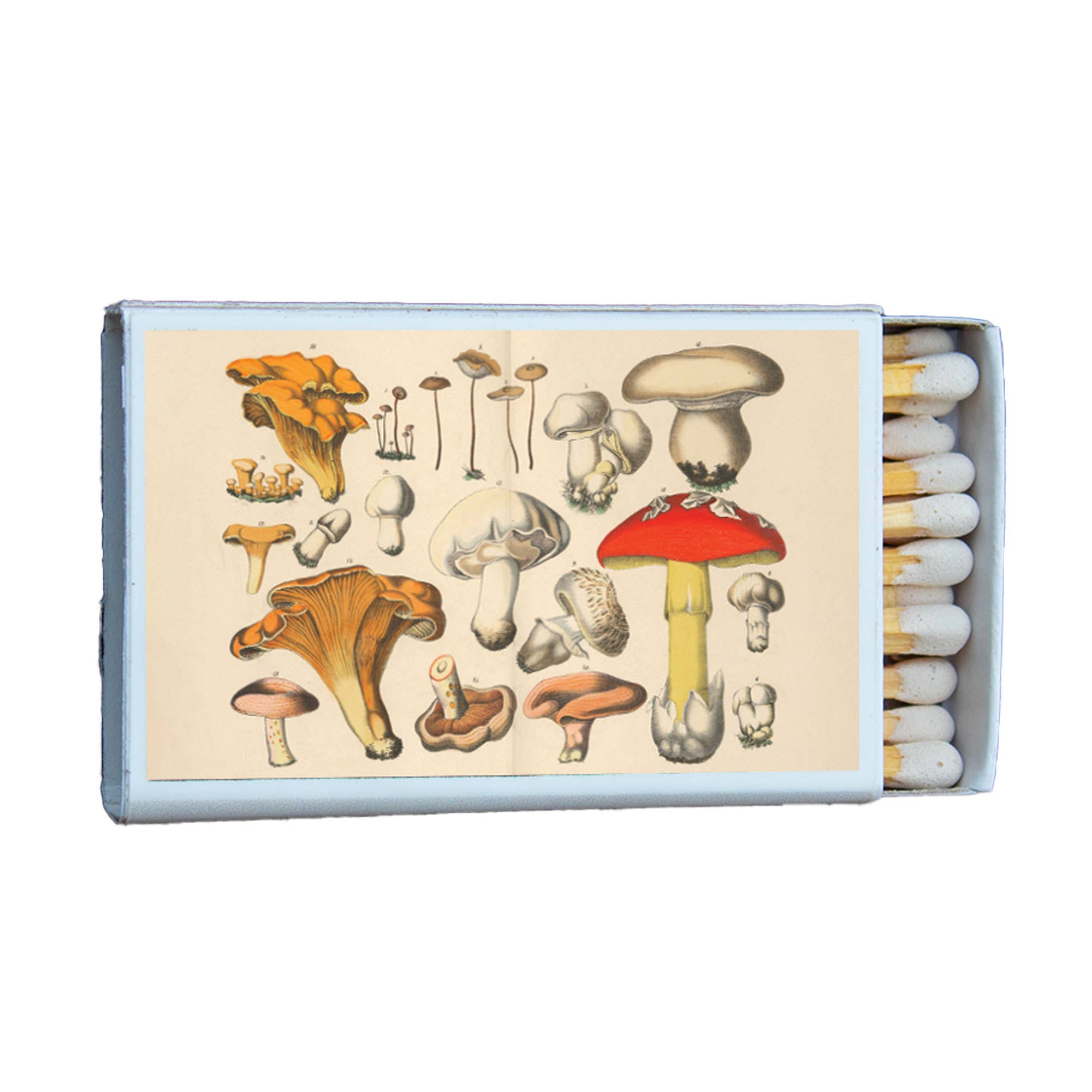 Mushroom Variety Decorative Matches