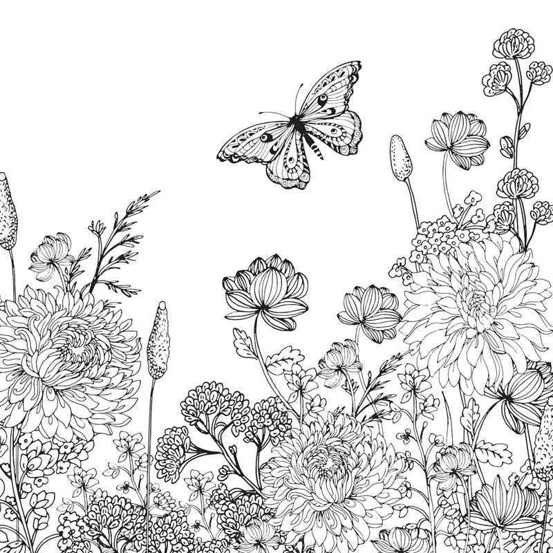 Cottagecore Coloring Book by Editors of Ulysses Press