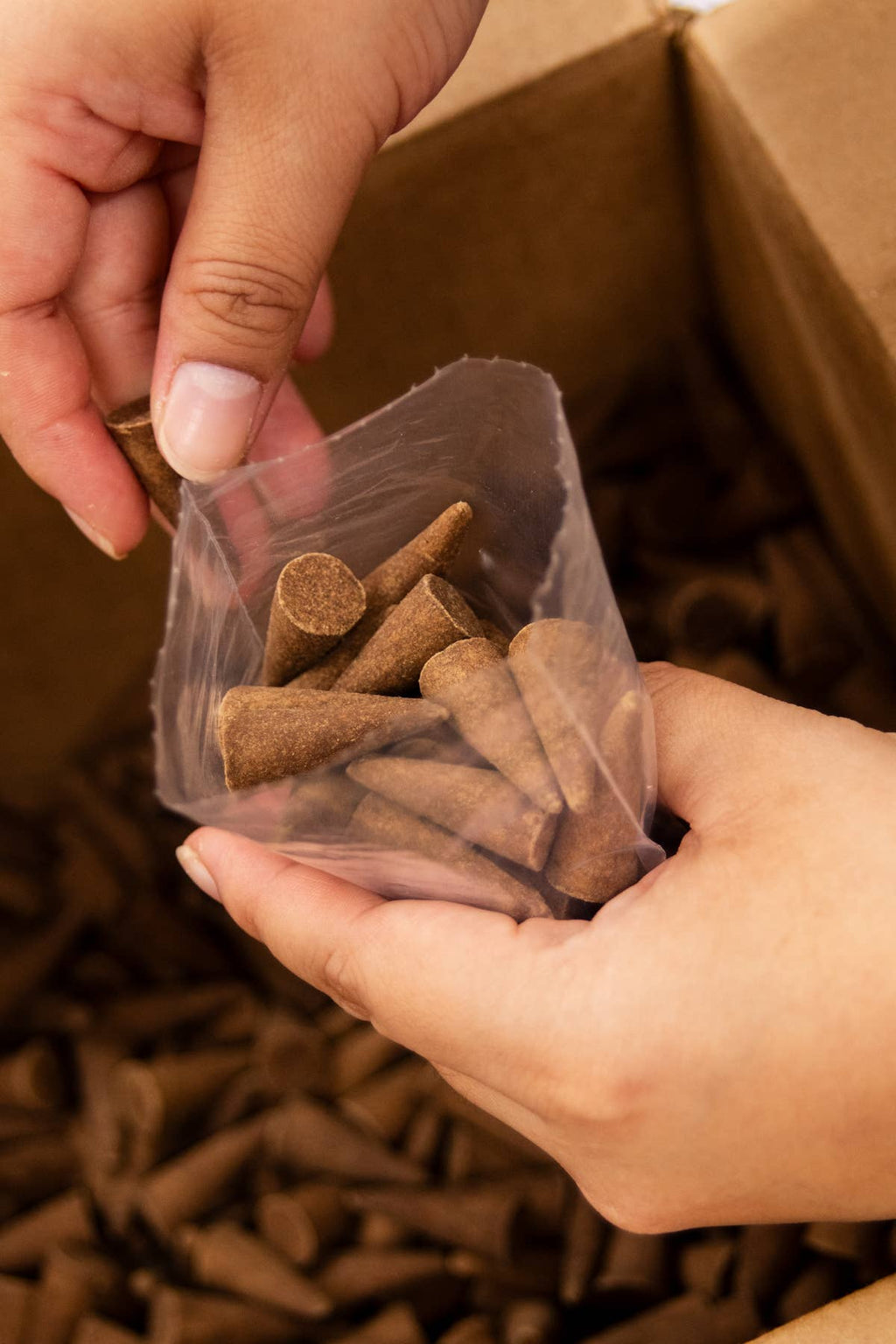 Incense Cones - Kaaterskill Wilds (25 Pack)