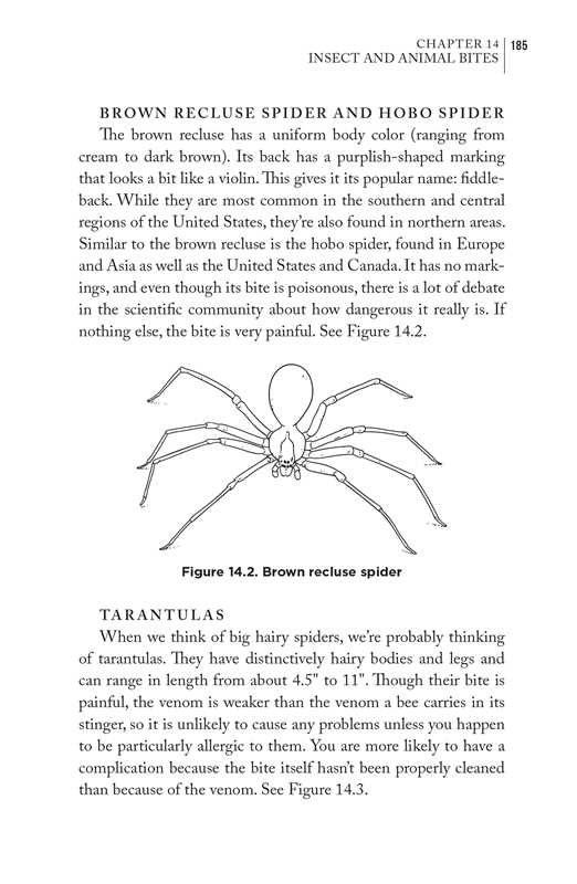 Bushcraft First Aid by Dave Canterbury