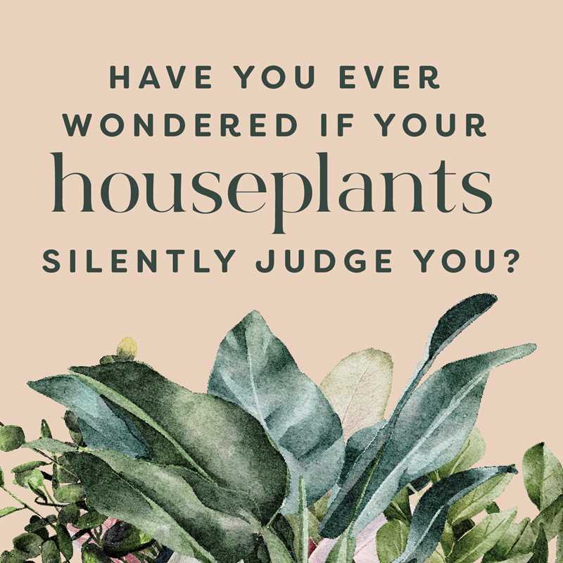 Houseplants and Their F*cked-Up Thoughts by Carlyle Christoff