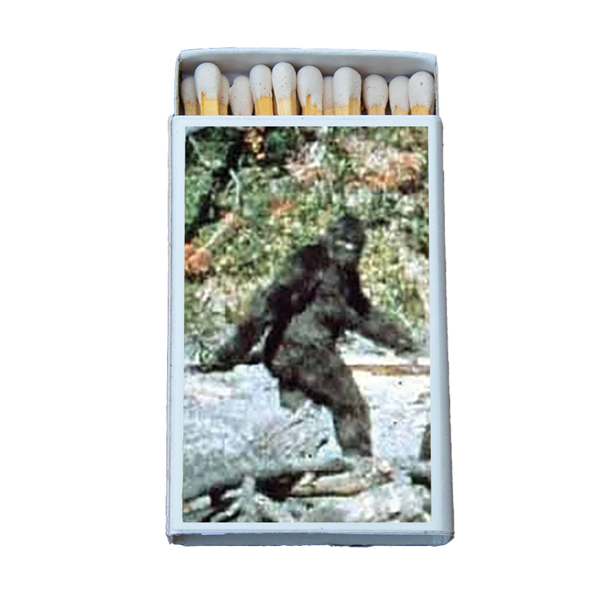 Bigfoot Decorative Matches