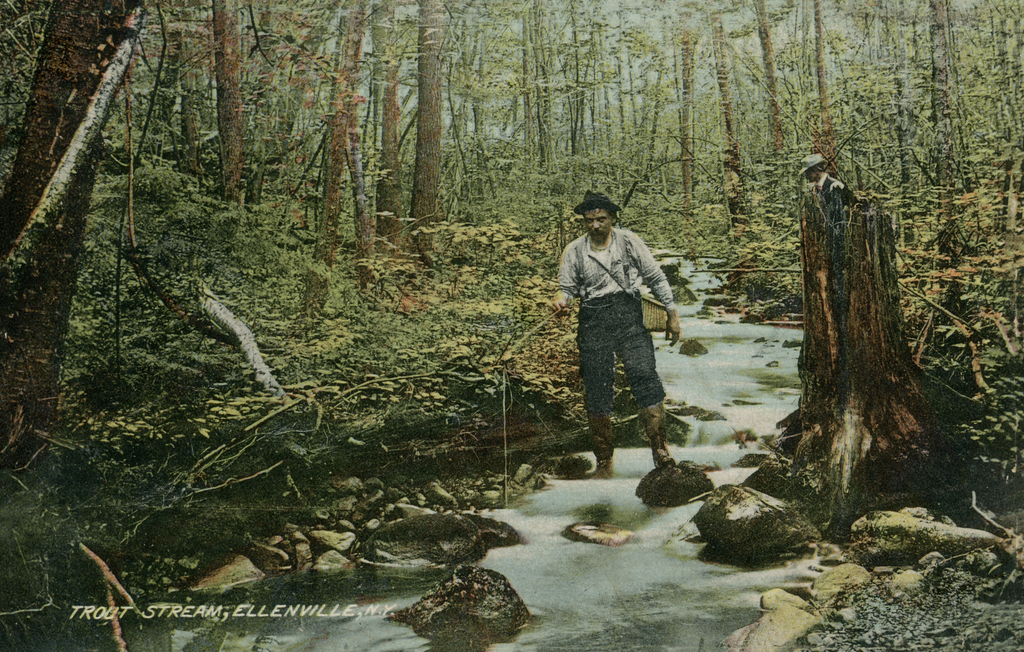 Ulster Heights Vintage Postcard - Trout Stream